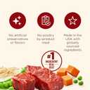 Nutrish Real Beef & Pumpkin Recipe Whole Health Blend Premium Pat Wet Dog Food, 13 oz. Can, 12 Count, Packaging May Vary (Rachael Ray)