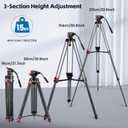 Mactrem 82"/210cm Fluid Head Tripod - Heavy Duty Video Tripod for Camera