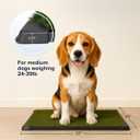Artificial Grass Puppy Pee Pad for Dogs and Small Pets - 20x25 Inch, Reusable 3-Layer Turf Pads for Dogs with Tray - Indoor and Outdoor Fake Grass Potty Pet Supplies by PETMAKER