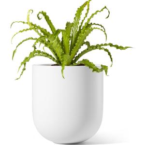 LE TAUCI 6 Inch Plant Pot, Ceramic Pot with Drainage Hole & Rubber Plug, Indoor Planter for Herbs & Small Houseplants, Cylinder Planter for Home Office, White