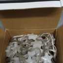 Smart Star Fairy Lights Plug in, 33Ft 16 Million Color Changing String Lights RGB Built in Chip APP & Remote Control DIY Music Sync Twinkle Light for Bedroom Christmas Decoration Christmas Gift