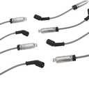 GM Genuine Parts 19431551 Sparkplug Wire Kit
