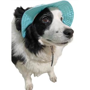Dog Hat with Ear Hole for Large Dog Sunscreen Summer Bucket Hat Cat Suncare Cooling Outdoor Hat Sun Protection Pet Caps (Blue, X-Large)
