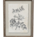 Designs Wood Wall Decor (24x14 inches)