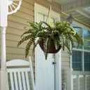 Pure Garden Faux Boston Fern – Hanging Natural and Lifelike Artificial Arrangement and Imitation Greenery with Basket for Home or Office Décor