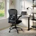 Youhauchair Mesh Office Chair, Ergonomic Home Office Desk Chairs with Flip-up Arms and Lumbar Support, Height Adjustable, Black