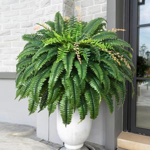 MARTINE MALL 48 inch 128 Leaves Artificial Ferns for Outdoors Look Real Fake Ferns, Large Faux Boston Ferns for Outdoor Planter Realistic UV Resistant Artificial Fake Plants for Porch Patio Hanging (1 PCS)