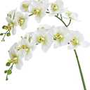 Htmeing 38 Inch Artificial Phalaenopsis Flowers Branches Real Touch (Not Silk) Orchids Flowers for Home Office Wedding Decoration,Pack of 2 (Green White)