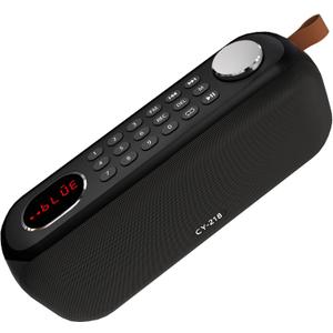 Portable Bluetooth Speaker FM Radio Digital, Support USB/SD Card MP3 Music Player/AUX/REC, Build-in 3000mAh Rechargeable Battery, 10W Powerful Speaker and Earphone Jack for Indoor Outdoor