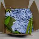 Artflower 4Pcs Real Touch Hydrangea Artificial Flowers, 22.5'' Blue Full Latex Faux Hydrangea Flowers for Home Floral Arrangements Wedding Bouquets Kitchen Table Centerpiece Decorations