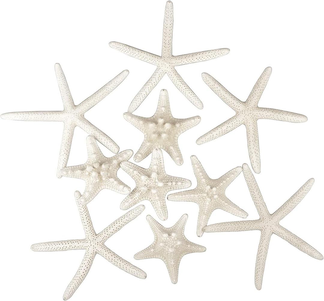Jangostor 12 PCS Starfish 2-6 Inch Mixed Starfish Natural Seashells Starfish Star Fish Shells Decorations Perfect for Wedding Decor Beach Theme Party, Home Decorations, DIY Crafts, Fish Tank