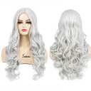 Sallcks Women's Long Curly Wavy Silver Gray Wigs Cosplay Costume Halloween Wigs Synthetic Middle Parting Replacement Wig