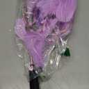 Cat Toy
