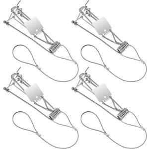 Qualirey 4 Pcs Gopher Trap with Chain Mole Vole Trap Gopher Killer Stainless Steel Weather Resistant for Lawn Garden Farm Outdoor (Silver)