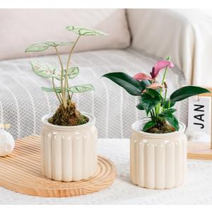 2PCS Self Watering Planters 4.5 Inch Self Watering Pots for Indoor Plants, African Violet Pots with Wick Rope, Flowers, Succulents, Herb, House Plants