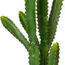 DILATATA 32.5" Tall Fake Cactus Plant Potted 'Euphorbia Accruensis' - Large Artificial Cactus for Home, Garden, Office Decor - Housewarming Gifts