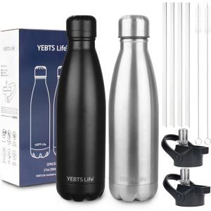 Insulated Water Bottle, 2 Pack-17oz Stainless Steel Water Bottles with straw lid, Metal Sports Water Bottles for Boys,Girls, Double Wall Vacuum BPA-Free Flask for School, Sports(Black-Sliver)