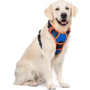 rabbitgoo Dog Harness No Pull with 2 Leash Clips, Adjustable Soft Padded, Reflective Oxford No Choke Pet Vest with Easy Control Handle for Large Dogs, Blue & Orange, XL