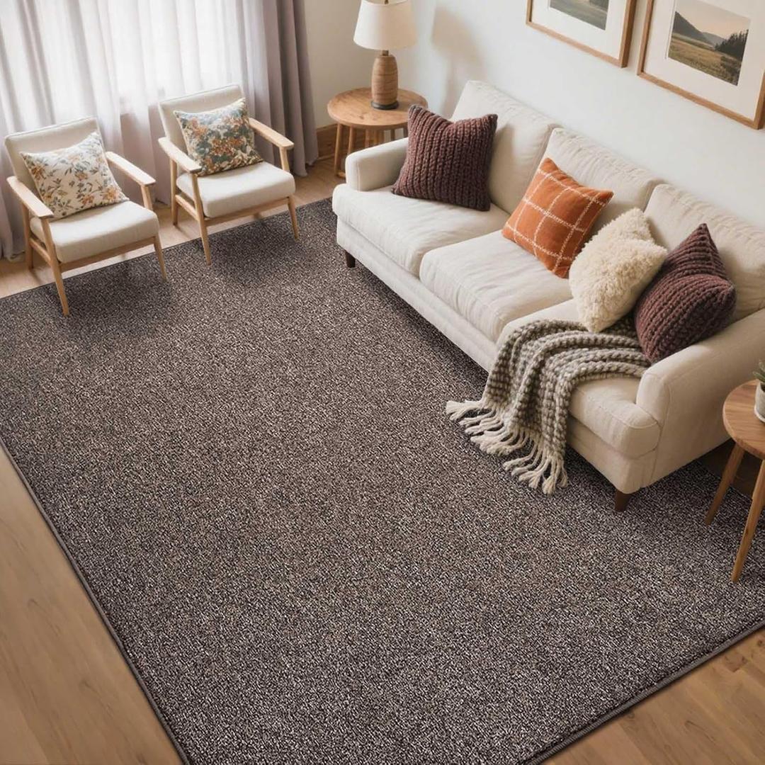 FinRec Low Pile 5x7 Washable Area Rugs for Bedroom Living Room, Thin Rug Solid Color, Non-Slip Carpet Indoor for Home Decor (Brown/White)