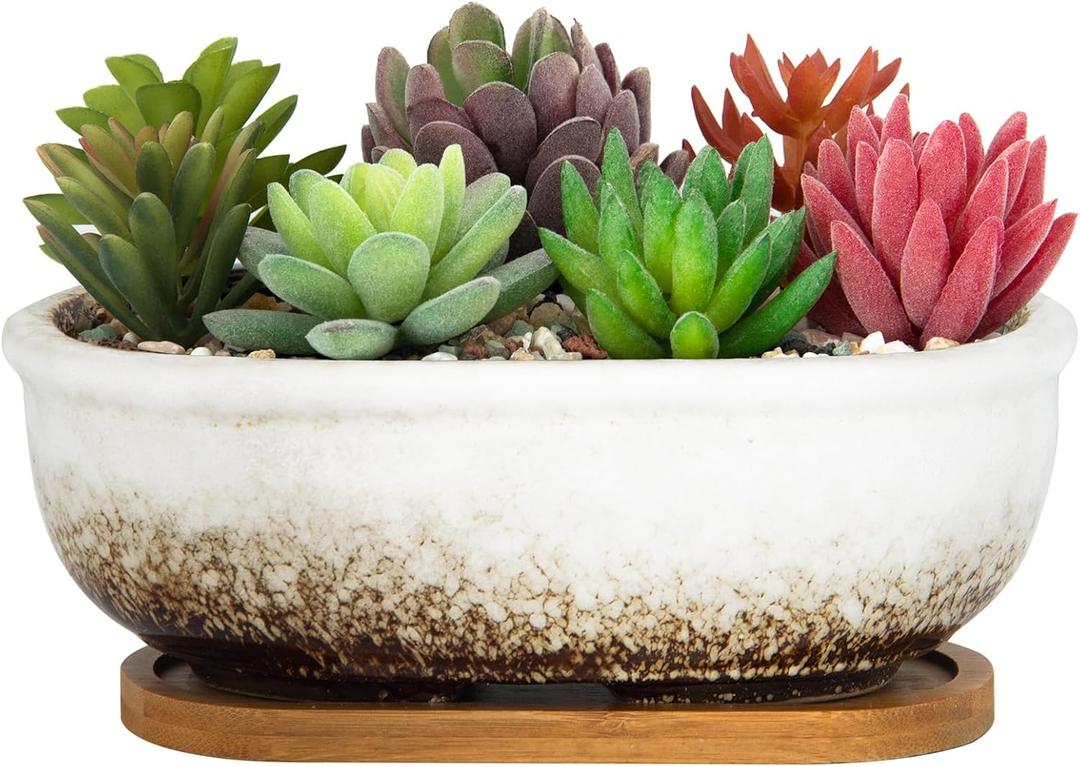 ARTKETTY Succulent Pots, 7.9'' Large Ceramic Pots for Indoor Cactus Plants, Shallow Succulent Planters with Drainage Tray, Oval Bonsai Plant Container Bowl Garden Home Windowsill Decor