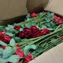 VEVOR Artificial Flowers, 500 pcs Real Looking Red Foam Fake Roses Bulk, Faux Red Bridal Shower with Stems for DIY Wedding Bouquets, Home Centerpieces Arrangements, Party Tables Decorations