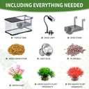 (Tank + Light + Filter Balls) Turtle Tank Kit, Turtle Tank Starter Kit,Bottom Drainage, Multi-Function Areas for Turtles, Crabs,Fishes, Amphibians,Reptiles. (15.75 x 8.64 x 8.64 Inch) (M+Light+Filter Balls)