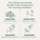 Traditional Medicinals Organic Mothers Milk Women's Tea Bag, 32 Count (EXP 07/20/28)