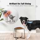 Ceramic Elevated Dog Food Bowl - Heavyweight Feeding Bowl with Metal Stand - Raised Pet Dish for Medium and Larges Dogs - 3.5 Cups - 54 oz - Beige