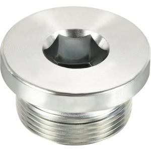 YOKIVE M30 x 1.5 Pipe Plug, Male Thread Internal Hex Head Socket Pipe Fitting Plug | Pipe Accessories, Great for Terminate Pipe Ends (Silver)