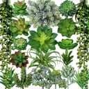 Winlyn 19 Pcs Assorted Artificial Succulents Plants Unpotted Small Green Aloe Hops Cactus String of Pearls Picks Fake Succulents Bulk for Succulent Garden Floral Arrangement Indoor Outdoor Home Decor