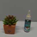 ZendoZones Succulent Fruit Fly Trap  Serene Sandy Design with Terracotta Base  Eco-Friendly Indoor Fruit Fly Control  Easy-to-Use Decorative Trap