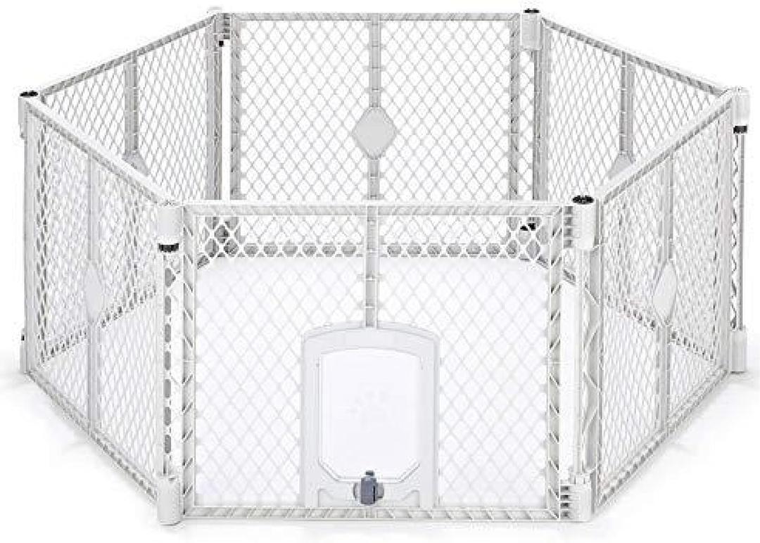 MYPET (6-Panel, Light Gray)