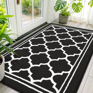 Buganda Indoor Door Mat, Dirt Resistant and Absorbent Entrance Mat, Easy to Clean, Low Profile Inside Floor Mat Doormat for Entryway (59x35 inches, Black)