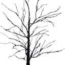 Nearly Natural 3ft Pre-Lit Black Twig Halloween Tree with 80 LED Lights