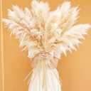40" inch 20 Stems Natural Pampas Grass Decor Tall, Pompas Grass, Tall Pampas Grass for Wedding, Party, Farmhouse, Boho Home Decor