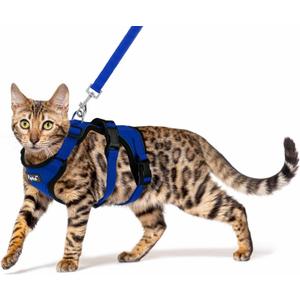 PUPTECK Cat Harness and Leash Set Escape Proof for Walking, Breathable Mash Vest Adjustable Harness for Cats Puppy Small Animals, Reflective at Night, Blue Small (Neck 9"-11.4", Chest 11"-16.1")