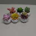 ZINHO Fake Succulent Plant Set 6 PCS Artificial Succulent Plants for Desk Realistic Faux Succulents in Plastic Pots Mini Colorful Succulent Decor for Bedroom Bathroom Office Shelf Decor (Mix)