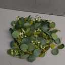LSKYTOP 1 Pc Green Eucalyptus Round Wreath Artificial Farmhouse Wreath for Door Wall Window Decor,11Inch/PC