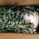 6 FT Faux Olive Tree, Look Real Fake Olive Tree with 4 Natural Thick Trunks & Weighted Pot, Olive Trees Artificial Indoor with Lusher & Fuller Leaves for Indoor Home Office Living Room Outdoor