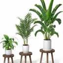 3-Pack Wood Plant Stands Indoor, Single Plant Stand for 6-12 Inch Pots, Mid-Century Modern Plant Stool, Tall Plant Stand for Large Plants Perfect Fit for Living Room, Balcony, Office (heavy burnt color)