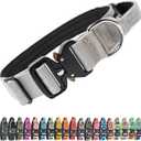 TSPRO Premium Dog Collars Tactical Dog Collar with Handle and Heavy Duty Quick-Release Metal Buckle Durable Thick and Adjustable for Medium to Large Dogs Handle-Equipped L (17.5"-24.5" Adjustable), Basic Silver