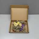 12/24 Pack Dried Flowers for Vase Various Mini Bouquet Dried Small Wildflowers Natural Real Flowers Bulk for Crafts DIY Wedding Decor (12, Forget Me Not)