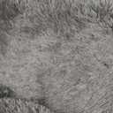 Ophanie Area Rugs for Bedroom Living Room, Grey Fluffy Fuzzy Shag Shaggy Soft Plush Carpet, 4x6 Indoor Floor Gray Rug for Kids Home Dorm Decor Aesthetic