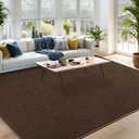 DweIke 6x9 Brown Rugs for Bedroom Living Room, Soft Fluffy Washable Low Pile Solid Color Rug, Non-Slip Throw Carpets for Kids Boys Girls Dorms Nursery Classroom Home Decor