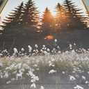 Large Mountain Sunlight Calming Framed Canvas Wall Art Set,Boho Nature Pine Tree Landscape Wall Decor,Modern Sunrise Forest Art Printing for Living Room,Bedroom-24 x36 x3