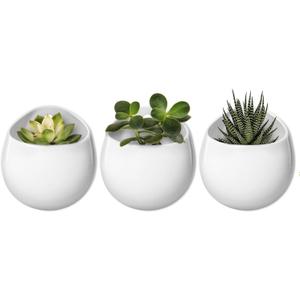 Mkono 4 Inch Wall Mounted Planter Round Ceramic Hanging Plant Holder Decorative Flower Display Vase Succulent Pots for Indoor Plants, Set of 3, White (Plants NOT Included)