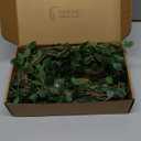 6pcs 41.3inch Greenery Stems Artificial Branches for Vases Olive, Spring Green Long Stem Fake Plants Indoor Branches for Garden Office Home Desk Decoration