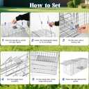 Humane Live Animal Trap, Heavy Duty Folding Raccoon Traps Cage for Cat, Squirrel, Skunk, Raccoon, Fox Catch and Release Large Size 31.1 * 11 * 12.6 Inch