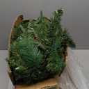 Realistic-Feel PE&Remote Control-9Ft by 12 Inch Prelit Norfolk Pine Christmas Garland with Timer 50 Warm White&Color Light 8 Mode,280 Mix Lifelike Branch&Canyon Pine Cedar Garland Pinecone Xmas Decor