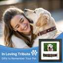 Dog Memorial Picture Frame with 5 Display Options- Dog Collar Memorial Frame Gift - Cat or Dog Pet Loss Gift for a Grieving Friend - Pet Remembrance Gift and Sympathy Photo Keepsake | 9 x 9 x 1.8 inch